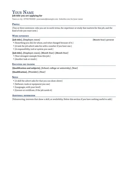 Blank CV in the Professional design with bracketed prompts under each heading